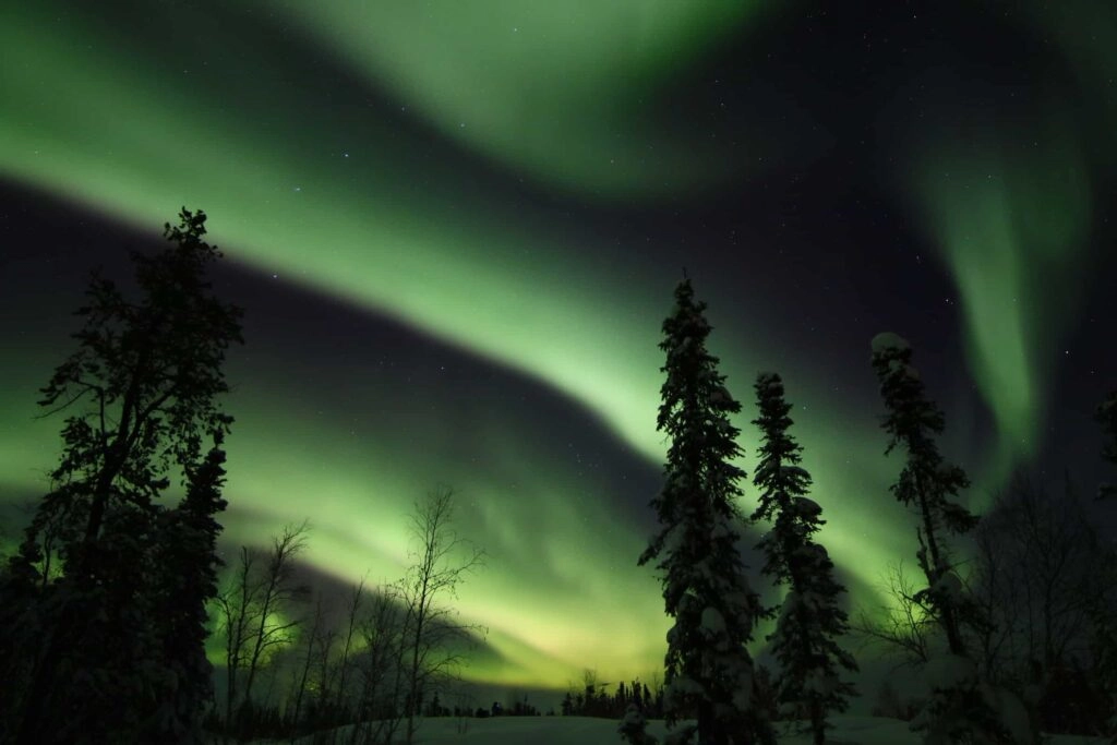 Aurora village yellowknife northwest territories canada aurora borealis northern lights trees no people winter