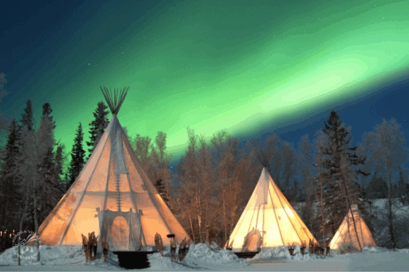 Aurora village yellowknife northwest territories canada aurora borealis northern lights green purple