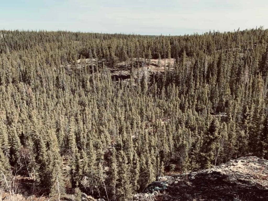 Aurora village yellowknife northwest territories summer cameron falls hike 14
