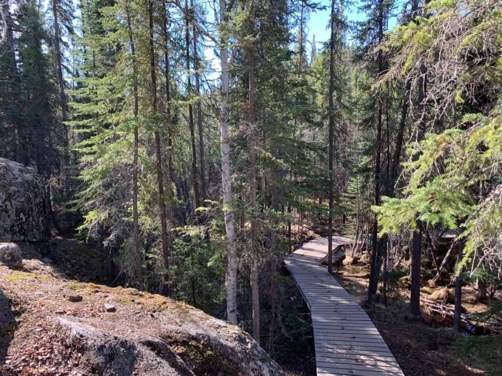 Aurora village yellowknife northwest territories summer cameron falls hike 6