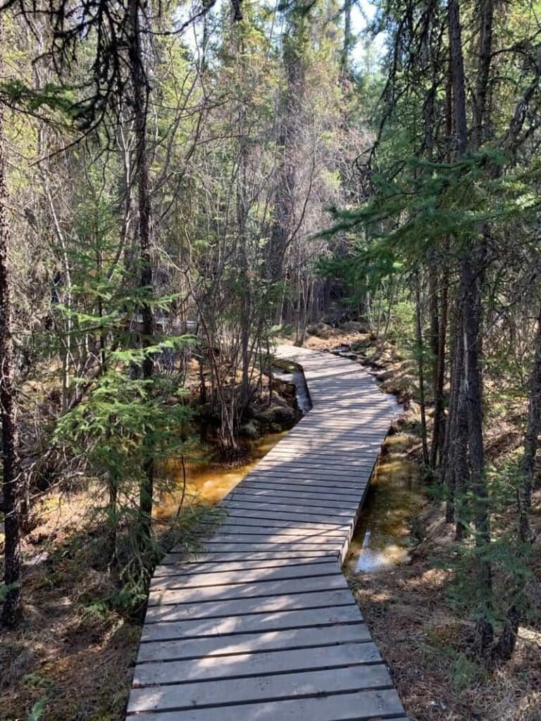 Aurora village yellowknife northwest territories summer cameron falls hike poer 2