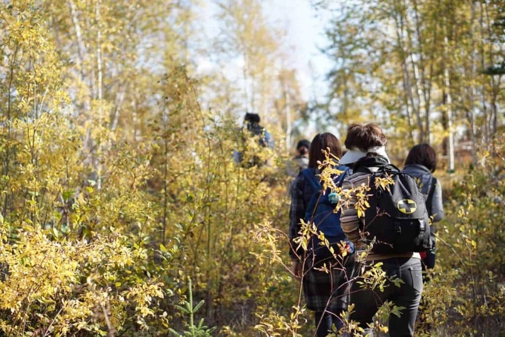 Aurora village yellowknife northwestterritories cultural hiking tour forest