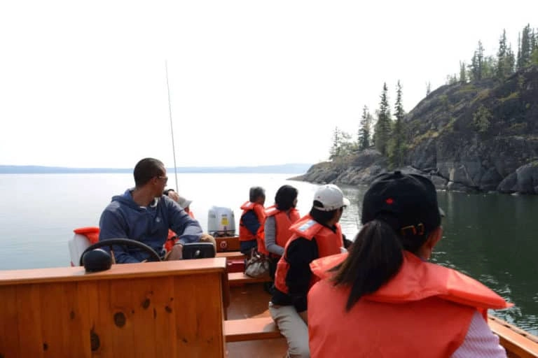 Great slave lake boat trip wildlife 768x512