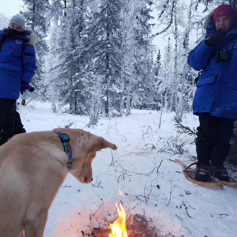 Instagram aurora village snowshoe culture experience yellowknife northwest territories capivated fire