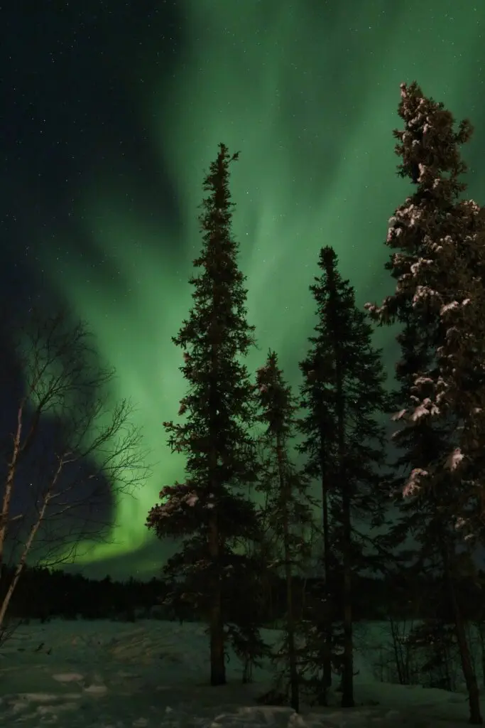 Portrait aurora village yellowknife northwest territories canada aurora borealis northern lights teepees credit julian 0b2a7113 01